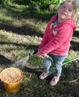 Leah watering her celery hydroponically